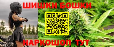 индика Кулебаки