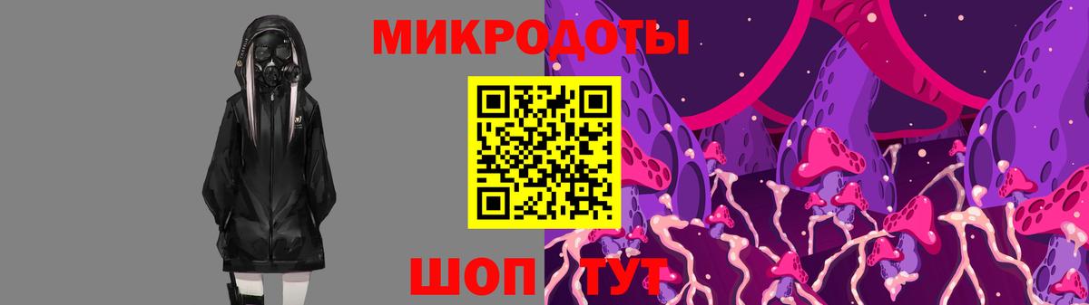 Псилоцибиновые грибы Cubensis Азов